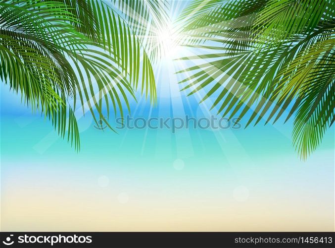 Palm leaf background on blue sky and sunbeams
