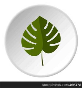 Palm leaf icon in flat circle isolated on white background vector illustration for web. Palm leaf icon circle