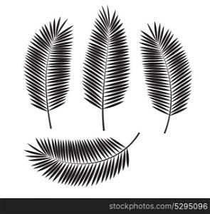Palm Leaf Isolated on White Background. Vector Illustration EPS10. Palm Leaf Vector Illustration