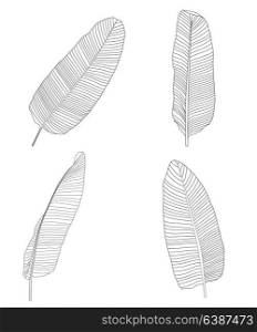 Palm Leaf on White. Vector Illustration. EPS10. Palm Leaf. Vector Illustration