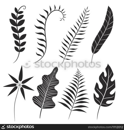 Palm leaf silhouette. Monstera frond, plant leaves silhouettes and tropical palms fronds. Coconut leaf branch, tropical jungle beach tree frond isolated vector icons set