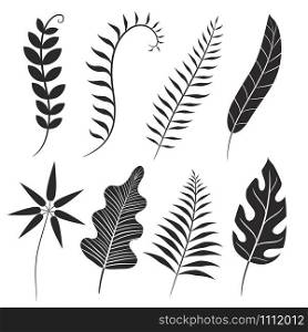 Palm leaf silhouette. Monstera frond, plant leaves silhouettes and tropical palms fronds. Coconut leaf branch, tropical jungle beach tree frond isolated vector icons set