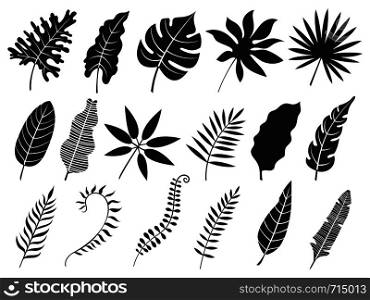 Palm leaf silhouette. Monstera frond, plant leaves silhouettes and tropical palms fronds. Coconut leaf branch, tropical jungle beach tree frond isolated vector icons set. Palm leaf silhouette. Monstera frond, plant leaves silhouettes and tropical palms fronds isolated vector icons set