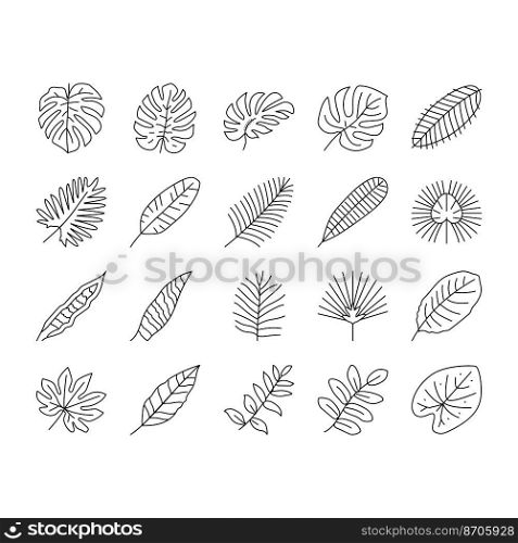 palm leaf summer plant green icons set vector. jungle exotic, nature foliage, tree floral, tropic monstera, texture forest, art palm leaf summer plant green black contour illustrations. palm leaf summer plant green icons set vector