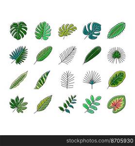 palm leaf summer plant green icons set vector. jungle exotic, nature foliage, tree floral, tropic monstera, texture forest, art palm leaf summer plant green color line illustrations. palm leaf summer plant green icons set vector