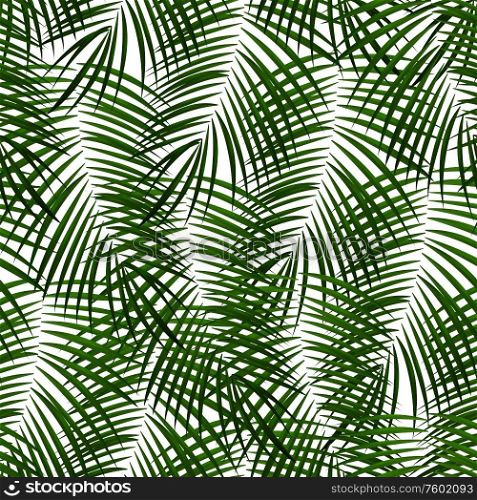Palm Leaf Vector Background Illustration EPS10. Palm Leaf Vector Background Illustration