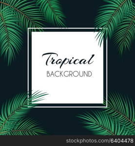 Palm Leaf Vector Background with White Frame Illustration EPS10. Palm Leaf Vector Background with White Frame Illustration