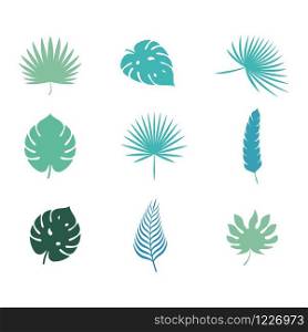 Palm Leaf vector illustration design template
