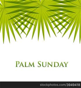 Palm leafs vector background. Vector illustration for the Christian holiday Palm Sunday.. Palm leafs vector background. Vector illustration for the Christian holiday Palm Sunday