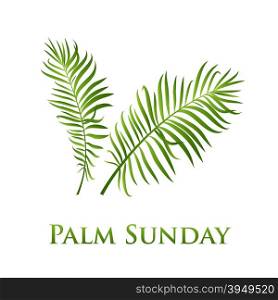 Palm leafs vector icon. Vector illustration for the Christian holiday Palm Sunday.. Palm leafs vector icon. Vector illustration for the Christian holiday Palm Sunday
