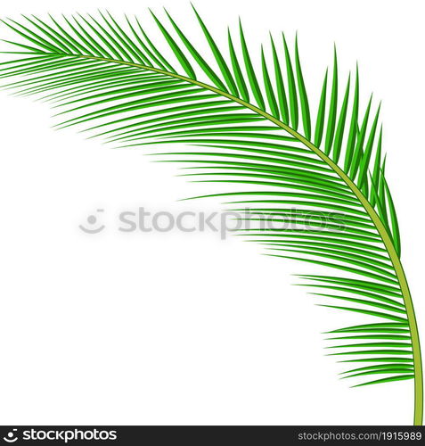 Palm leaves background. Vector exotic palm leaves.. Palm leaves background.