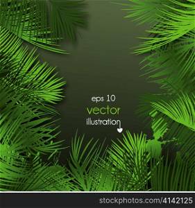 palm leaves background vector illustration
