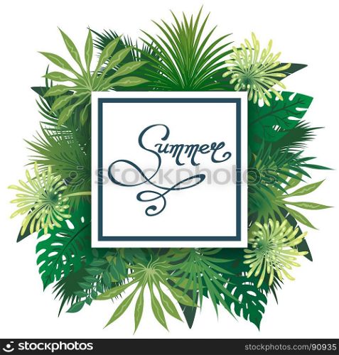 Palm leaves emblem. Palm leaves emblem. Palmtree leaves summer label, vector border with palm greens