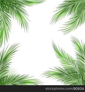 Palm leaves frame. Palm leaves frame. Palmtree green leaf tropical beach border on white background, vector illustration