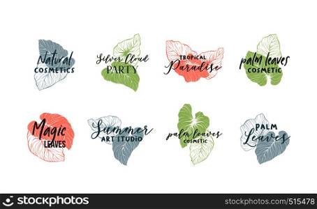 Palm leaves logo template set. Calligraphic logotypes pack. Organic, natural cosmetics store, summer art studio sign. Exotic, tropical monstera minimalistic drawing. Handwritten cursive lettering. Palm leaves color logo template set