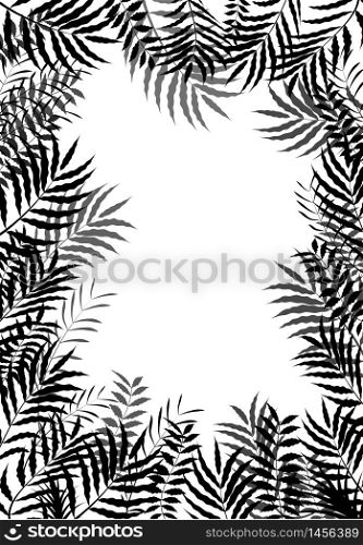 Palm leaves of frame background of silhouette.vector