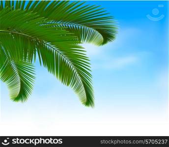Palm leaves on blue background. Summer holidays concept background. Vector.