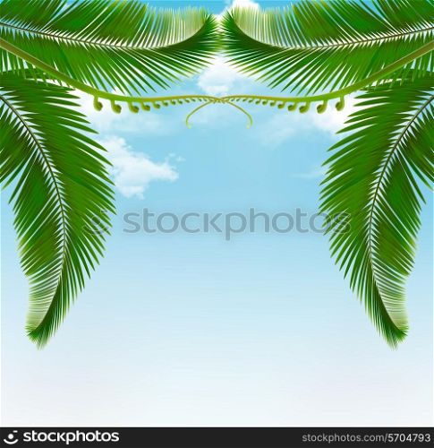 Palm leaves on sky. Vector illustration.