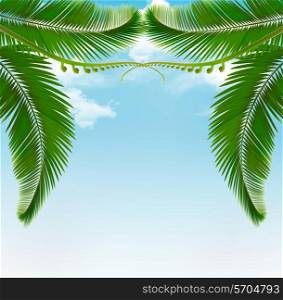 Palm leaves on sky. Vector illustration.