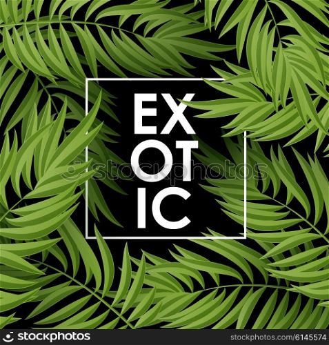 Palm leaves pattern . Green Palm leaves pattern on black background