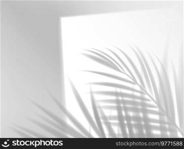 Palm leaves shadow background overlay, plant leaf shade on wall, realistic vector. Summer sun shadow through window with palm tree leaves tree, tropical jungle in daylight effect. Palm leaves shadow background overlay, leaf shade