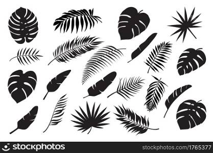 Palm leaves silhouettes. Tropical leaf monstera, banana and coconut. Jungle foliage, exotic rainforest palm tree floral decoration vector set. Paradise branches and leafage for summertime. Palm leaves silhouettes. Tropical leaf monstera, banana and coconut. Jungle foliage, exotic rainforest palm tree floral decoration vector set