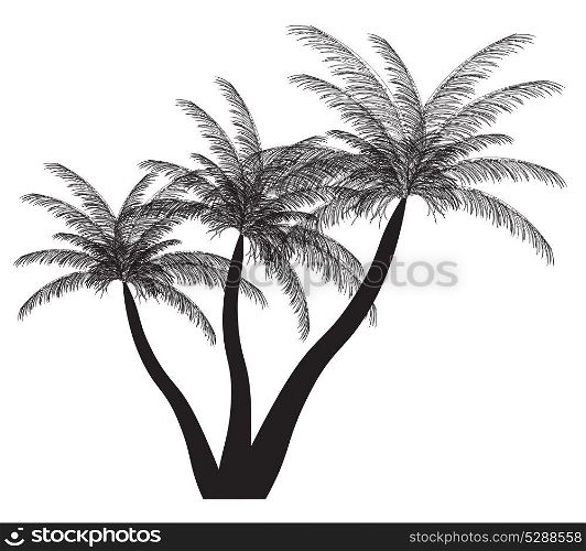Palm silhouette. Vector illustration. EPS 10.