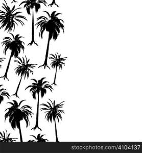 Palm tree border in stark black and white with copy space