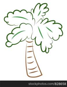 Palm tree drawing, illustration, vector on white background.