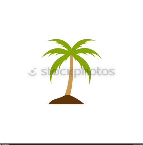Palm tree graphic design template vector isolated illustration. Palm tree graphic design template vector isolated