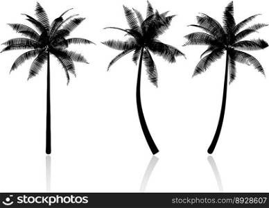Palm tree graphics vector image
