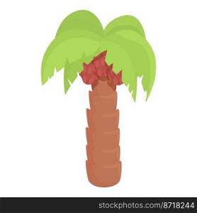 Palm tree icon cartoon vector. Food oil. Tropical leaf. Palm tree icon cartoon vector. Food oil