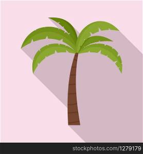 Palm tree icon. Flat illustration of palm tree vector icon for web design. Palm tree icon, flat style