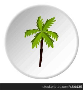 Palm tree icon in flat circle isolated vector illustration for web. Palm tree icon circle