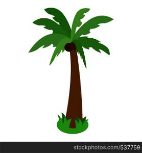 Palm tree icon in isometric 3d style isolated on white background. Single standing palm tree with two coconuts. Palm tree icon, isometric 3d style