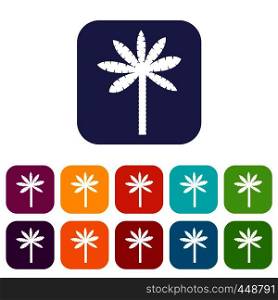 Palm tree icons set vector illustration in flat style In colors red, blue, green and other. Palm tree icons set flat