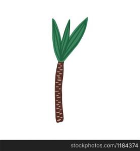 Palm tree in hand drawn style isolated on white background. Doodle exotic rainforest tree. Tropical vector illustration. Palm tree in hand drawn style isolated on white background.