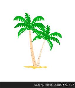 Palm tree in sand, green foliage on top and stems in stripes. Papercard with hawaiian wood, summer card decorated by exotic plant on beach vector. Exotic Plant, Palm Tree in Sand, Papercard Vector
