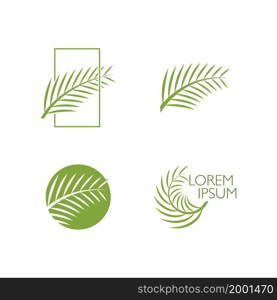 Palm tree leaf illustration logo template vector design