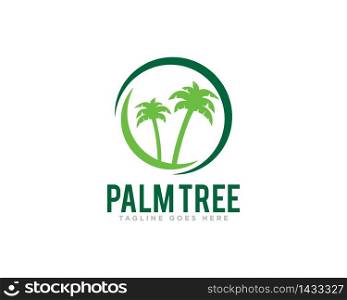 Palm Tree Logo Design Vector