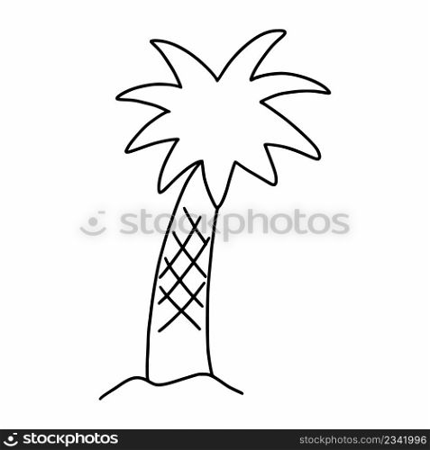Palm tree on white background. Vector doodle illustration.