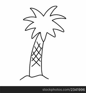 Palm tree on white background. Vector doodle illustration.