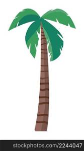 Palm tree semi flat color vector object. Full sized item on white. Seaside resort flora. Exotic and tropical plant simple cartoon style illustration for web graphic design and animation. Palm tree semi flat color vector object