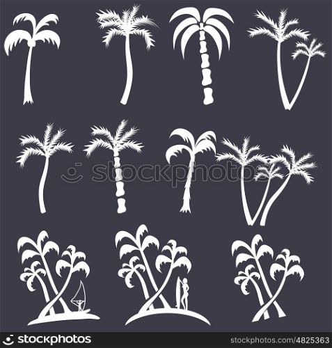 palm tree Silhouette