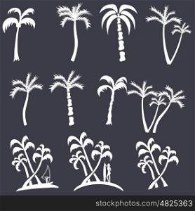 palm tree Silhouette