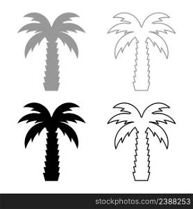 Palm tree tropical coconut set icon grey black color vector illustration image simple solid fill outline contour line thin flat style. Palm tree tropical coconut set icon grey black color vector illustration image solid fill outline contour line thin flat style