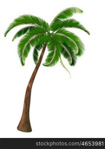 Palm tree. Vector.