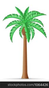 palm tree vector illustration isolated on white background