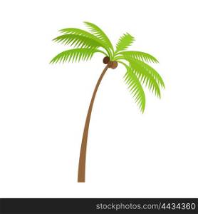 Palm Tree with Coconut. Palm tree silhouettes with coconut. Vector illustration isolated on white background