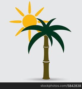 Palm trees